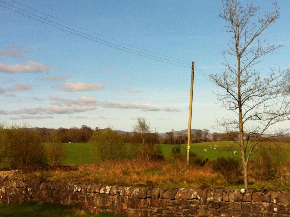 Crosskeys Cottage Shandon エクステリア 写真