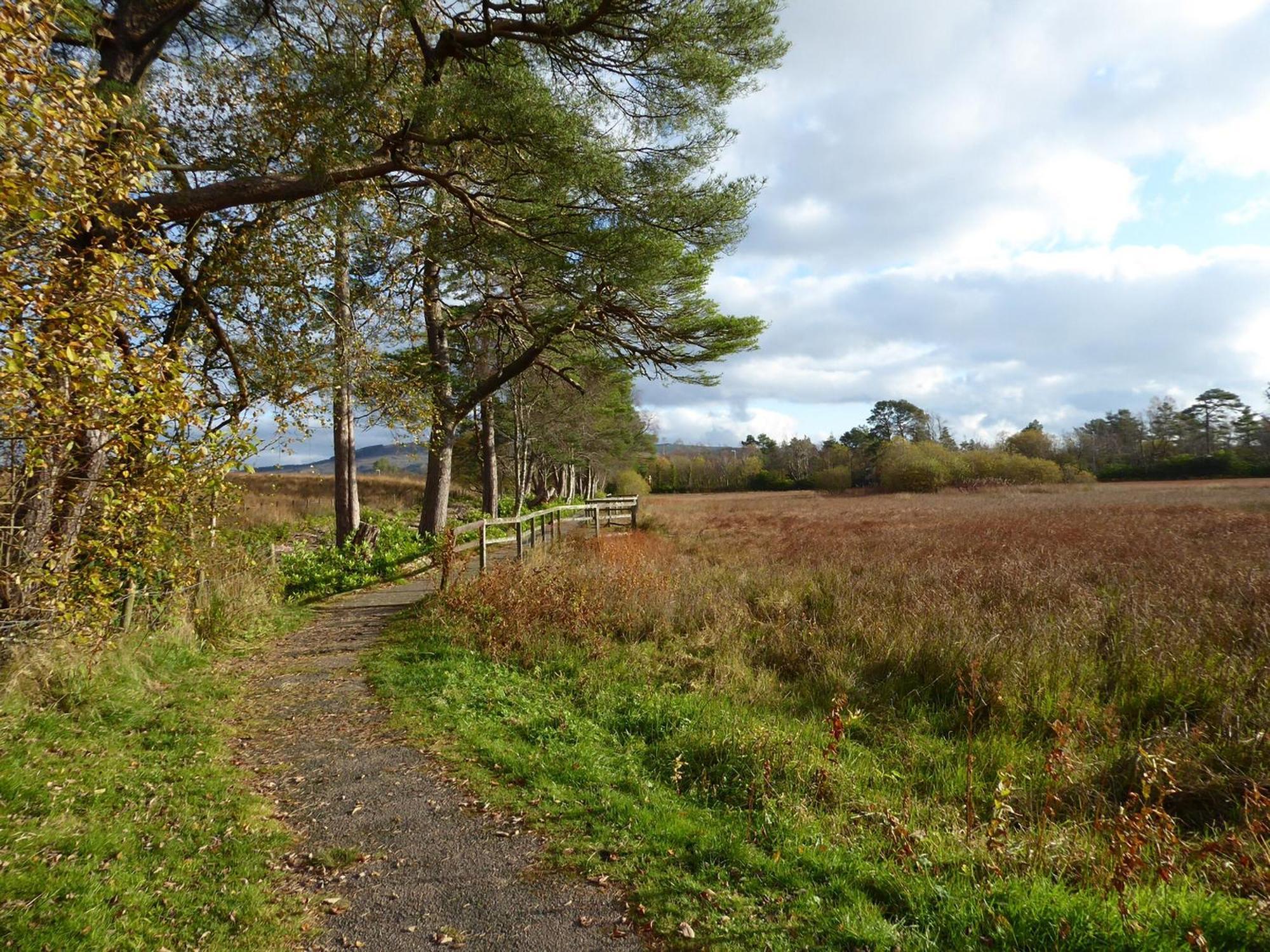 Crosskeys Cottage Shandon エクステリア 写真